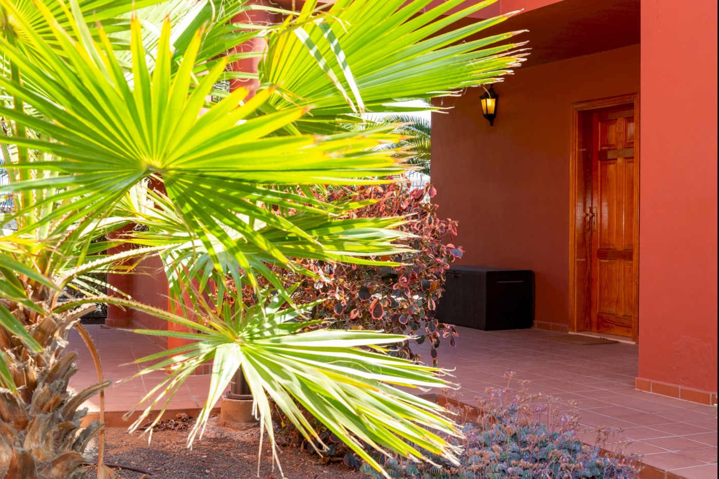 Apartment in Oasis Tamarindo in Corralejo