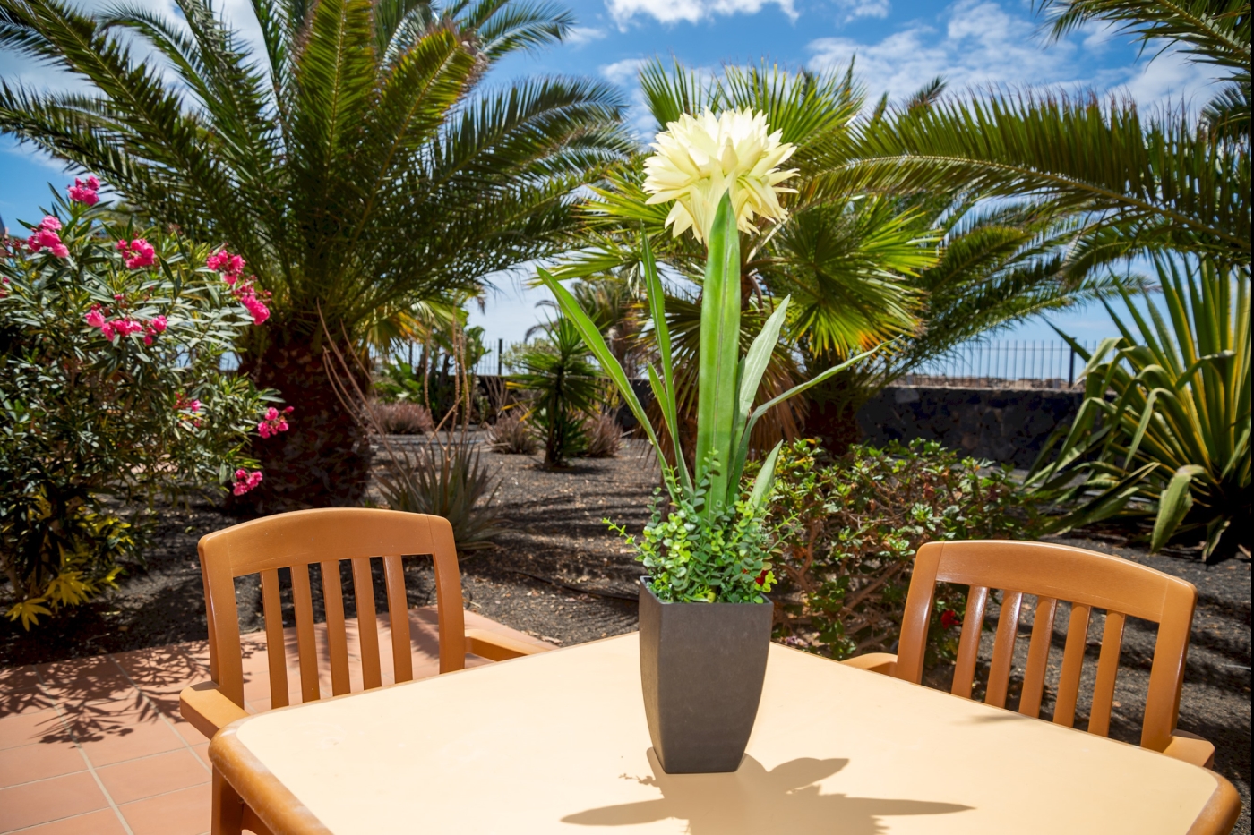 Apartment in Oasis Tamarindo in Corralejo