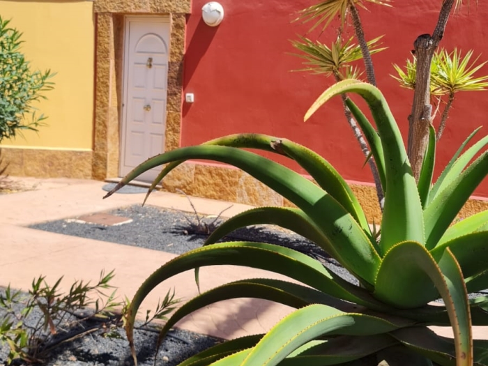 Apartment with patio and terrace in Corralejo