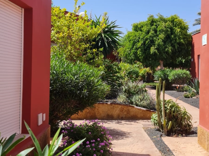 Apartment with patio and terrace in Corralejo