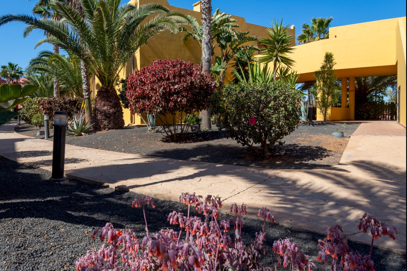 Apartment in Oasis Tamarindo in Corralejo