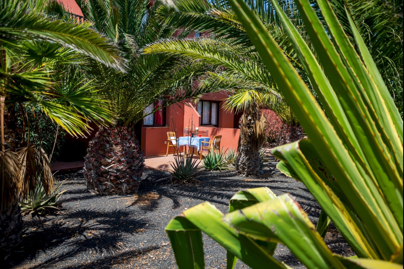 El Jasmine in Corralejo