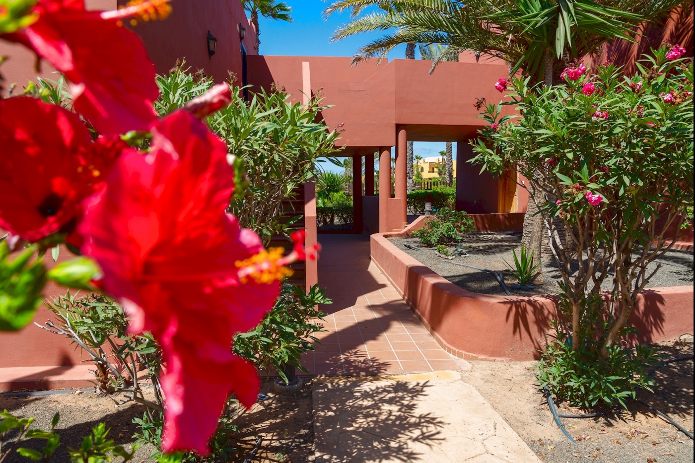 La Rosa dei Venti in Corralejo