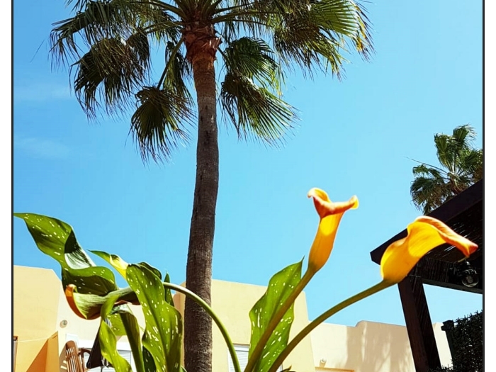 Appartamento con giardino vicino alle spiagge in Corralejo