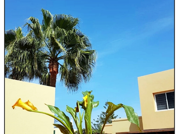 Appartamento con giardino vicino alle spiagge in Corralejo