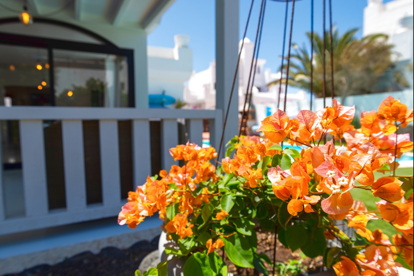 Beautiful and bright villa with swimming pool in Corralejo