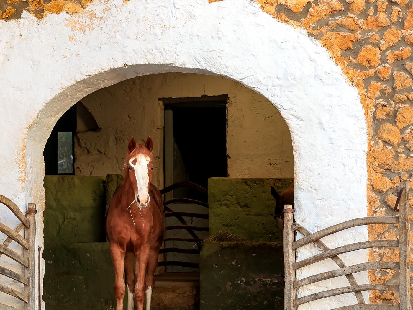 Charming FarmHouse Son Mestres de Baix in Cala Galdana